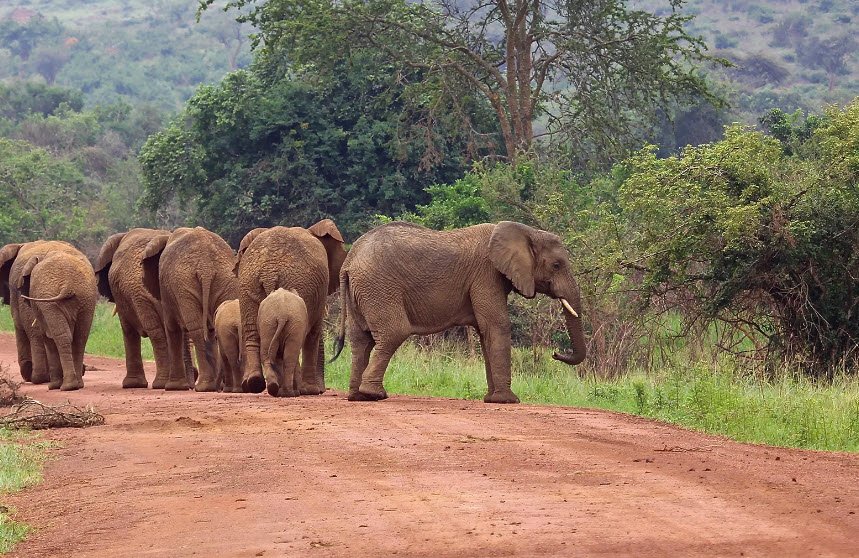 Virunga National Park